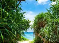 beach51